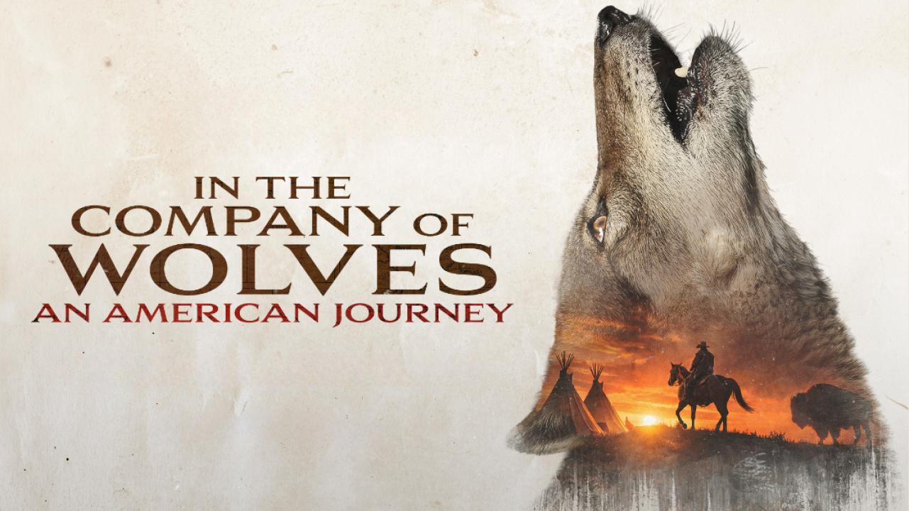فيلم In The Company Of Wolves An American Journey 2026 مترجم  HD